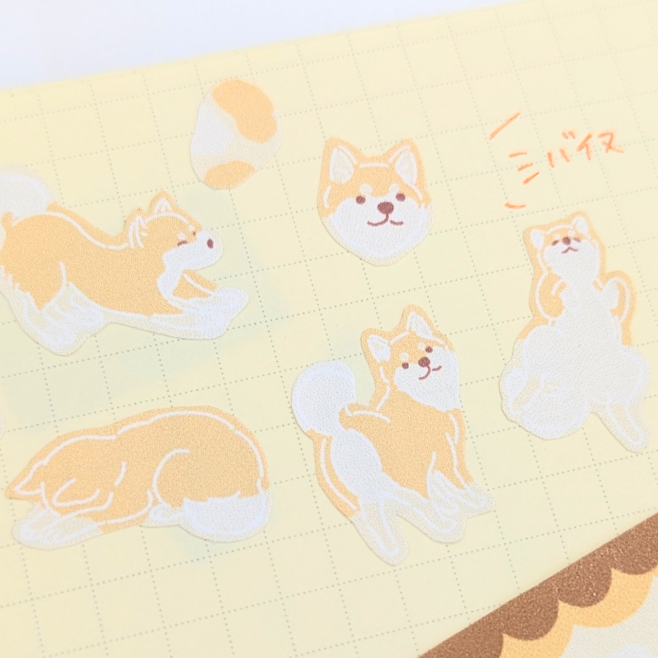 Animal Hide-and-Seek Stickers